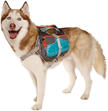 Cesar Millan Dog Backpack (Small)