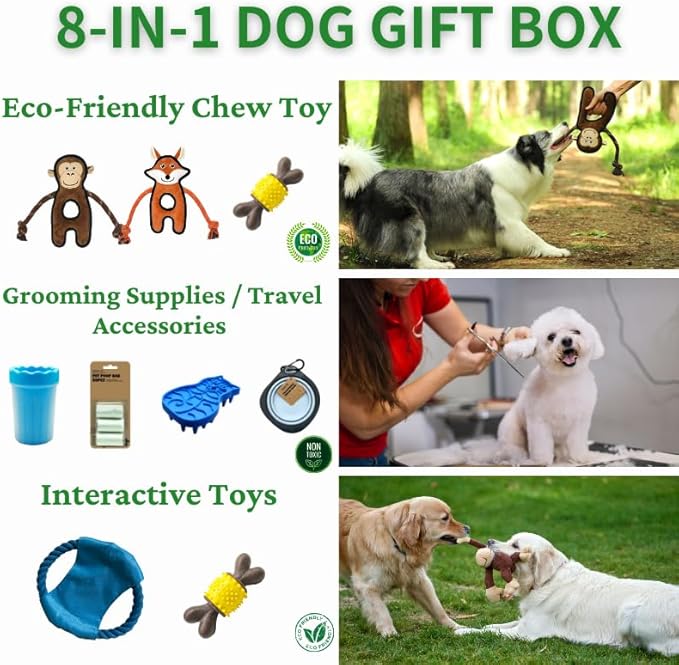 Durable Dog Chew Toys Gift Box โ Eco-Friendly Teething Toys for Aggressive Chewers, Plush & Squeaky Toys, Toothbrush, Ideal Gift Basket for Medium & Large Dogs