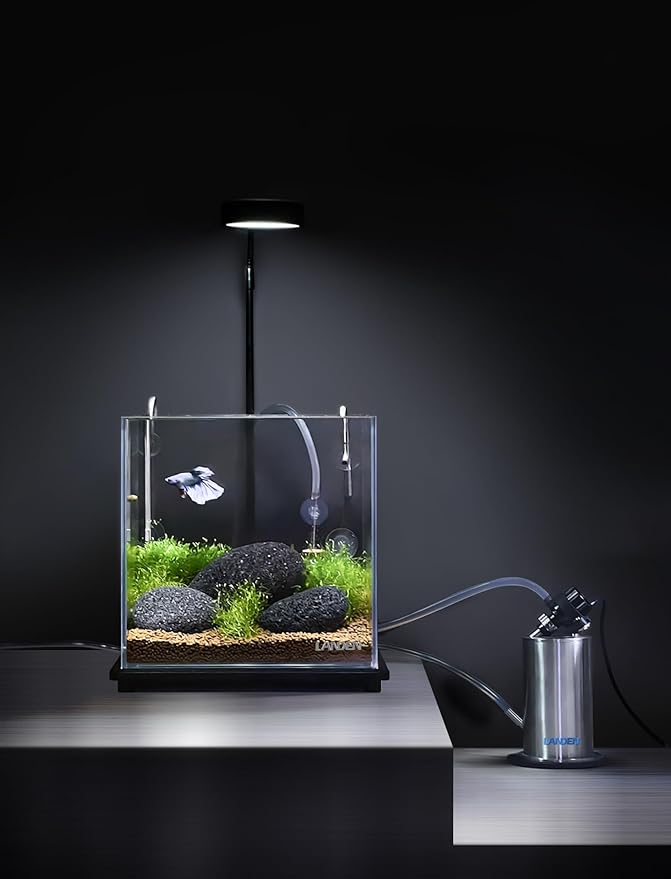 LANDEN 304 Stainless Steel Lily Pipes with Clamps for Rimless Glass Aquarium, Inflow and Outflow Set (Pipe Diameter 6mm)