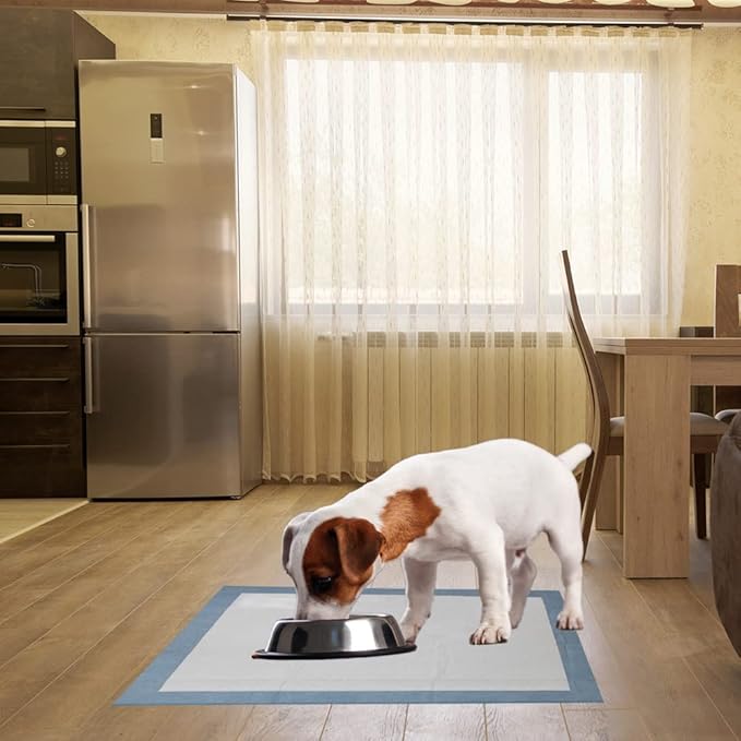 BV Puppy Pads XL 20 Count 28"x34" - Leak-Proof Pee Pads for Dogs with 6-Layer Design, Rapid Dry Sheet & Attractant - Dog Pad Extra Large with Odor Control - Perfect for Big Dogs & Indoor Use