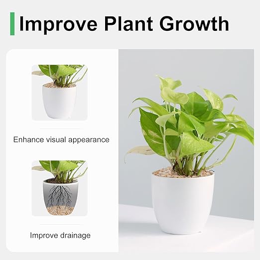 5 lbs Coarse Silica Sand for Indoor Plants, 1/5 Inch Natural Decorative Gravel for Vases, Aquariums, Terrarium, Fish Tank, Drainage Rocks for Potted Plants, Bamboo, Succulent, Crafts, Cactus