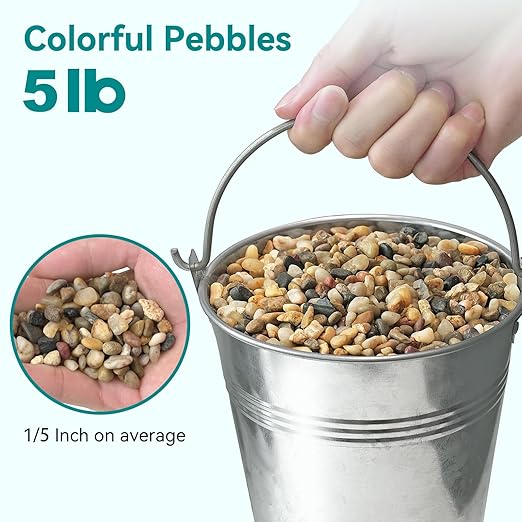 5 lbs Small Rocks for Plants, 1/5 Inch Gravel for Plants Drainage, Decorative Potting Pebbles for Indoor Plants, Vases, Bamboo, Succulent, Terrarium, Crafts, Cactus