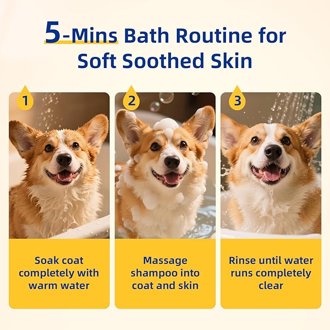 Unipaws Probiotic Dog Shampoo for Short-Haired Coats β Itch Relief, Deodorizing & Hydrating for Healthy, Fresh Skin with Calendula & Oatmeal β EWG Green & White Tea Scent, Made in Korea, 16.9 Fl Oz