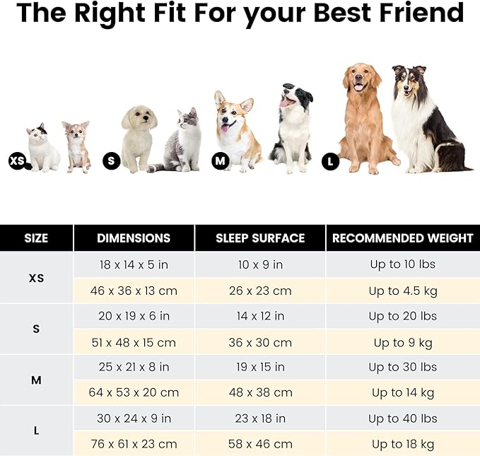 Miguel Washable Dog Bed for Small Dogs, Easy to Wash Cat Sofa Bed with High Sides, Rectangle Bolster Cat Bed Calming Cuddle Puppy Bed with Anti-Slip Bottom, Black 20 Inch