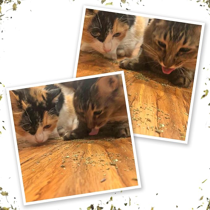 Meowijuana Pepper Bundle | Get Kickin' Refillable Chili Pepper Toy and Kalico Kush Catnip Blend | Promotes Play and Cat Health | Includes North American Organic Catnip