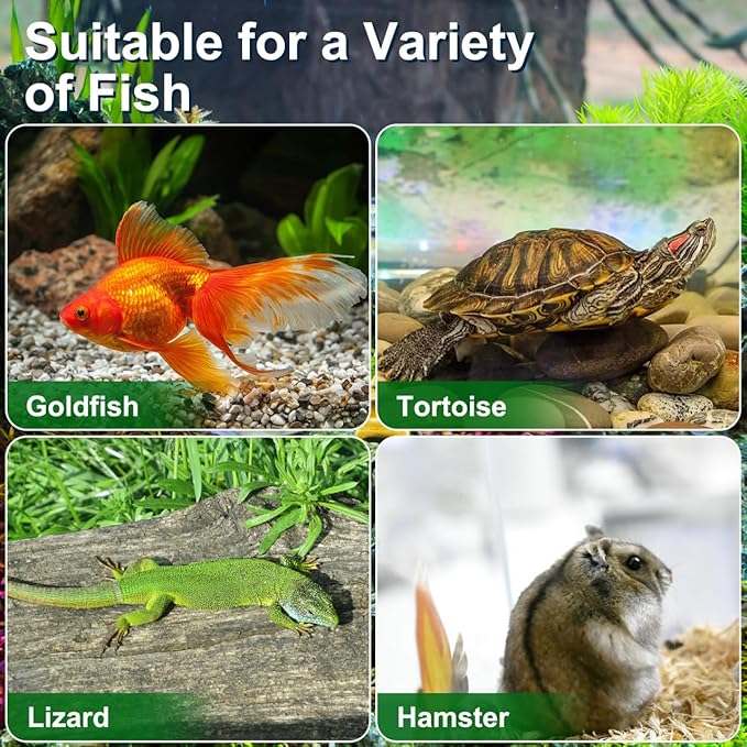 4pcs Mini Fish Tank: Portable Handheld Fish Tank Lightweight Aquarium Mini Portable Snail Terrarium Crabs Habitat for Shrimp Turtle Shrimp Goldfish Beach Toys Plastic (Random Color) 5.89X4.32X3.73In