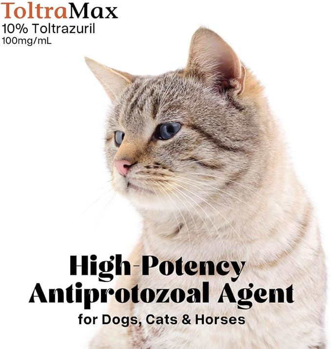Vetr's Toltramax Toltrazuril Powder for Horses, Dogs, Cats, 100g (10.0%, Cinnamon)