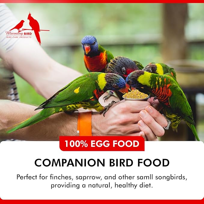 Morning Bird Eggfood 3 lbs (2-Pack, 1.5 lbs Each) – Protein Food with Essential Amino Acids, Vitamins & Minerals – Supports Growth & Feather Health – Ideal Bird Seed for Breeding and All Bird Types