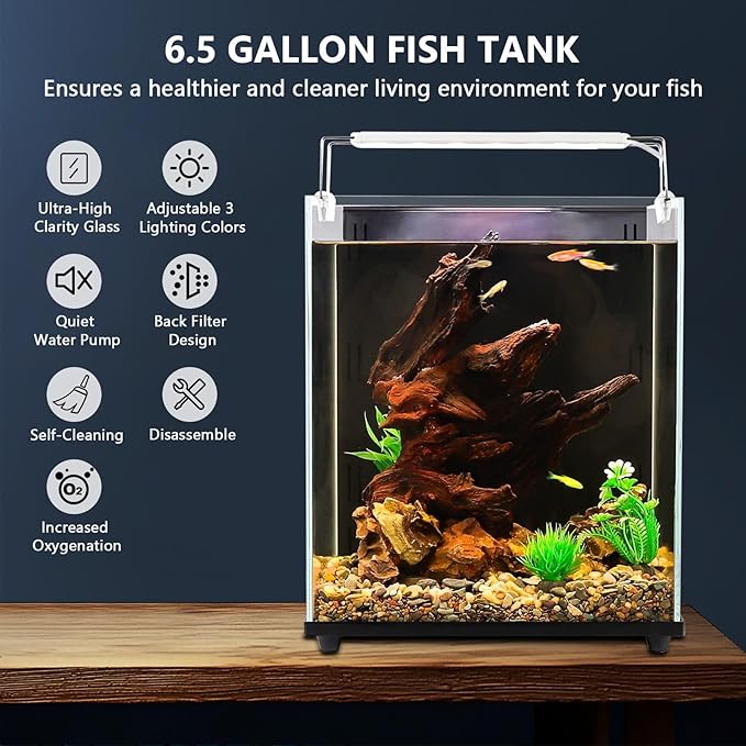 fishkeeper 6.5 Gallon Fish Tank Starter Kit, Small Aquarium with Filter and Adjustable 3 Color Lighting Self Cleaning Fish Bowl Rimless Aquarium for Beginners (Freshwater Fish Tank)