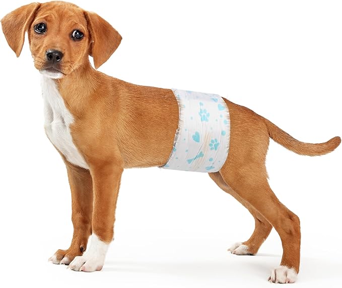 Male Dog Wrap, Disposable Dog Diapers, 40 Count, M (Waist 19.7”-23.6”), Wetness Indicator, Ultra Protection, Leak Proof, Super Absorbent, Soft