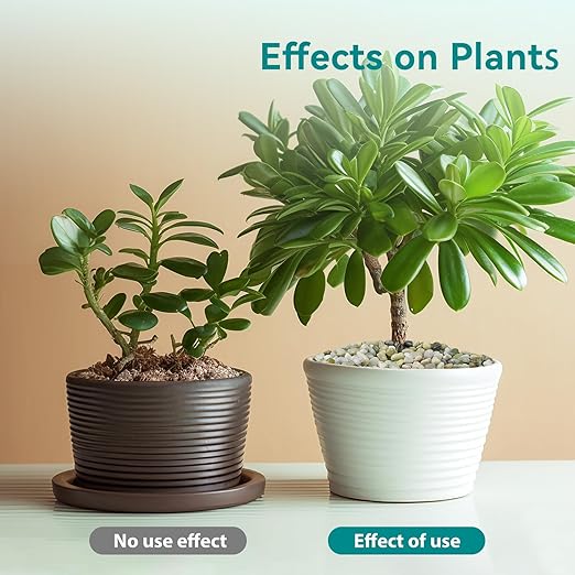 5 lbs Jade Pebbles for Indoor Plants, 3/8" Plant Rocks for Pots Indoor, Decorative Small Stones for Plants, Bamboo,Vase, Succulent, Highly Polished Small River Rocks