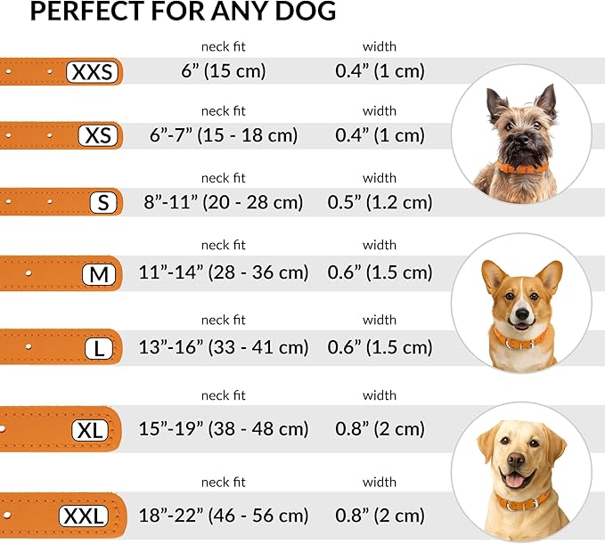 CollarDirect Rolled Leather Dog Collar, Soft Padded Round Puppy Collar, Handmade Genuine Leather Collar Dog Small Large Cat Collars 13 Colors (11-14 Inch, Orange Smooth)