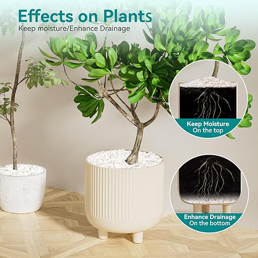 5 lbs Small White Rocks for Planters, 3/8" White Pebbles for Vases, Decorative Small Stones for Plants, Succulents, Bamboo, Terrarium, Landscape, Garden