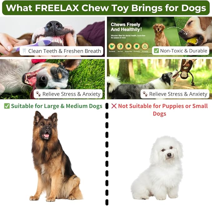 Durable Dog Chew Toys Gift Box โ Eco-Friendly Teething Toys for Aggressive Chewers, Plush & Squeaky Toys, Toothbrush, Ideal Gift Basket for Medium & Large Dogs
