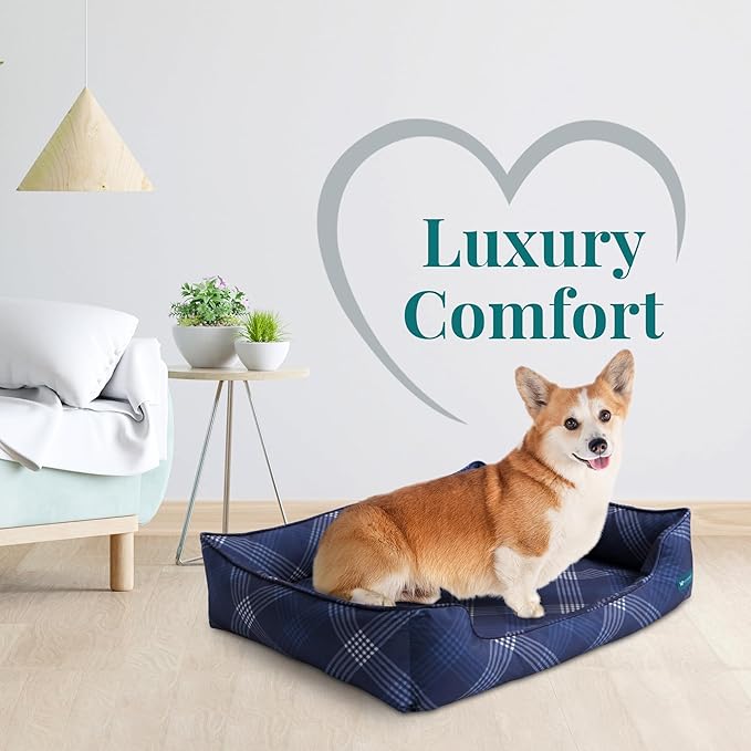 Orthopedic Bolster Dog Bed β CertiPUR-US Foam, Recycled Polyester Canvas, Washable Cover, Anti-Slip Bottom, Medium, Navy Plaid β Stylish Designer Dog Sofa