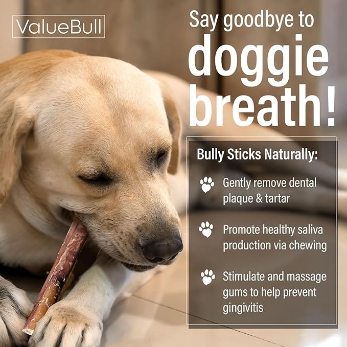 ValueBull Bully Sticks for Dogs, Thick 6 Inch, 25 Count - All Natural, Grass Fed, Single Ingredient, Long Lasting Dog Treats