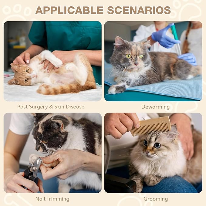 Avont Cat Cone Collar Soft to Stop Licking, Adjustable Foldable Lightweight Kitten Recovery Collar After Surgery for Small Dogs, Elizabeth Cone of Shame Alternative -Darkgrey(M)