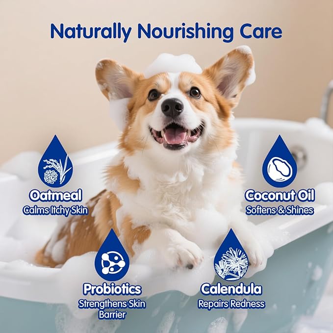 Unipaws Probiotic Dog Shampoo for Short-Haired Coats β Itch Relief, Deodorizing & Hydrating for Healthy, Fresh Skin with Calendula & Oatmeal β EWG Green & White Tea Scent, Made in Korea, 16.9 Fl Oz