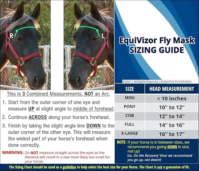 EquiVizor 95% UV Eye Protection (Mini) Standard Horse Fly Mask - Help with Uveitis, Corneal Ulcer, Light Sensitivity. Designed to Stay On Your Horse, Off The Ground.