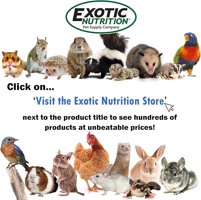 Exotic Nutrition Herbivore Treats (3 Pack) - for Guinea Pigs, Rabbits, Hamsters, Gerbils & More
