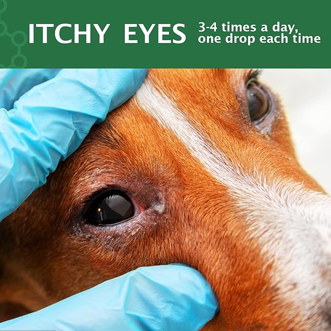 Dog Eye Drops, Eye Cleaner for Dogs & Cats Supports Eyes Infection Relief, Redness & Allergy Eyes Relief, Remove Tear Stain & Eye Debris - Pet Eye Gentle Care Supplement Cats Drops for Eyes - 2 fl ozโฆ