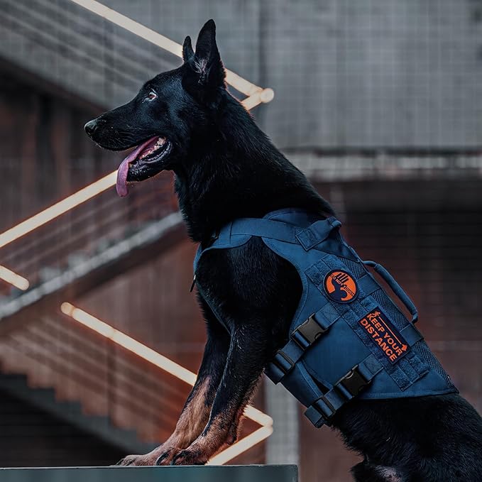 OneTigris No Pull Tactical Dog Harness for Small Medium Dogs, Mesh Design Service Dog Vest Breathable Military Dogs Molle Vests with Handles, Harness for Walking Hiking Training (Blue, M)