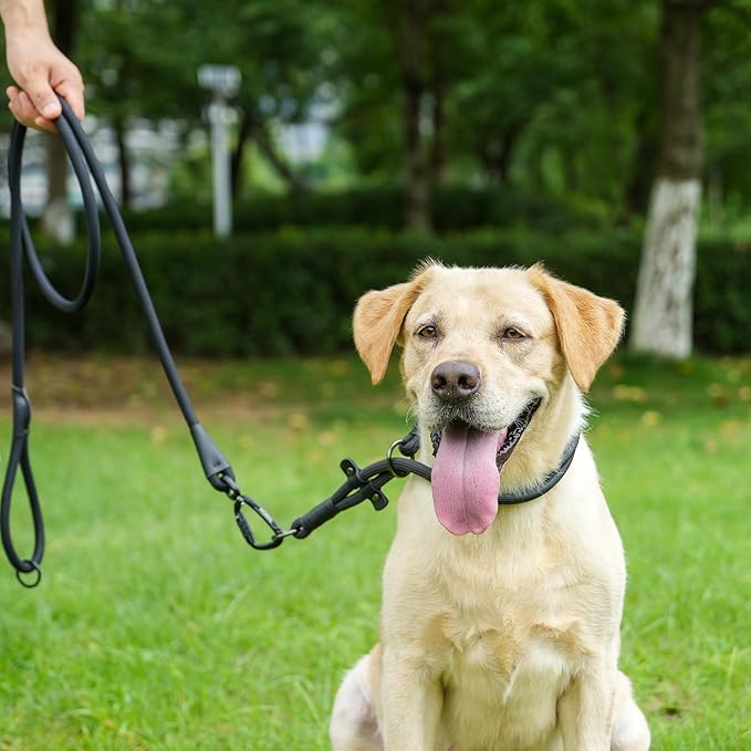 Rope Dog Leash, 6 Foot Heavy Duty Dog Leash with Aviation Aluminum Auto Locking Carabiner, Strong Nylon Pet Lead for Small, Medium, Large Dogs (Black, 6FT)