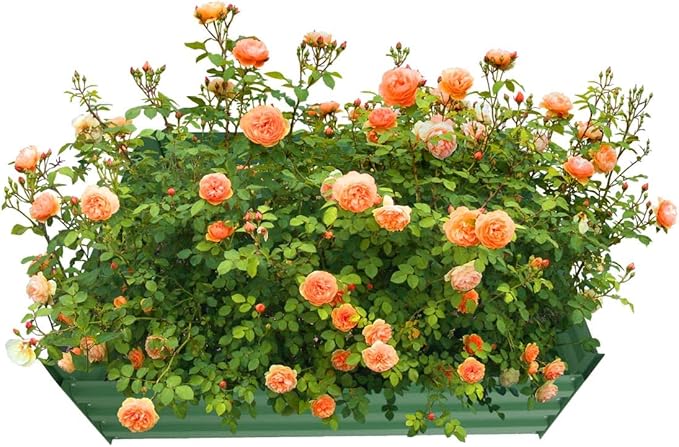 4x4x1ft Metal Raised Garden Bed Kit,Galvanized Garden Bed Box for Vegetables, Flowers, Herbs, and Succulents,120 Gallon Capacity - Green