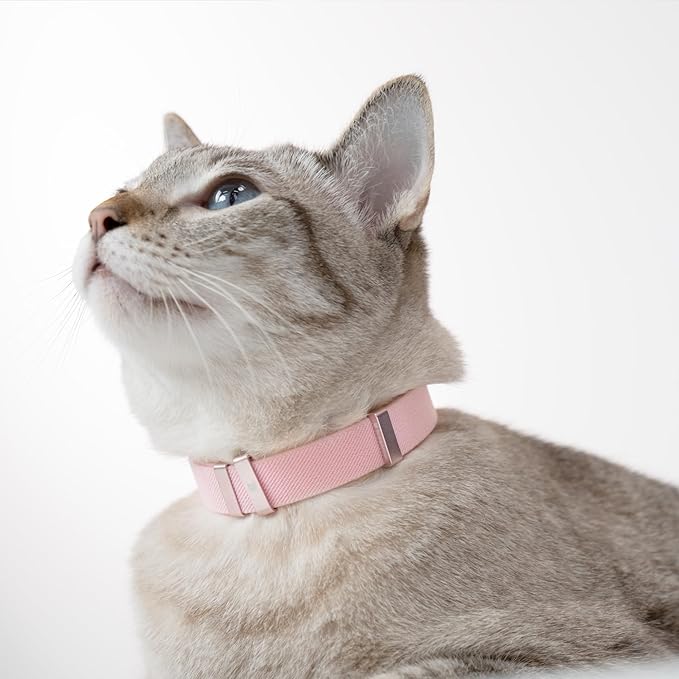 Safety Cat Collar - U.S. IDA Gold Awarding Design, Stretch Elastic Quick Release, Non Breakaway - Light Weight for Kitten, Neck Fit 5.9'-11.8' for All Small Large Cat,S(Armor Blue)
