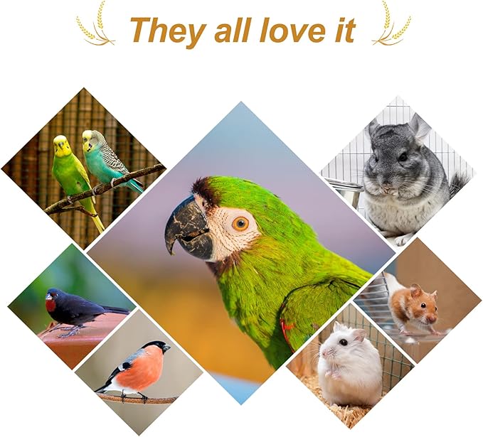 Amzey 5.5 LB Spray Millet for Parakeets, 100% Natural Dried Millet Grain for Birds, Non-GMO Bird Treat for Cockatiel, Finches, Parrots & Lovebirds