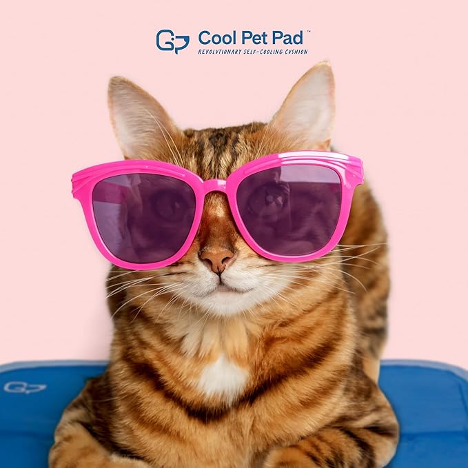 The Green Pet Shop Cool Pet Pad - Large, Blue - Self-Cooling, Pressure Activated Mat for Dogs & Cats from 46-80 lbs - Non-Toxic Gel, No Water Needed