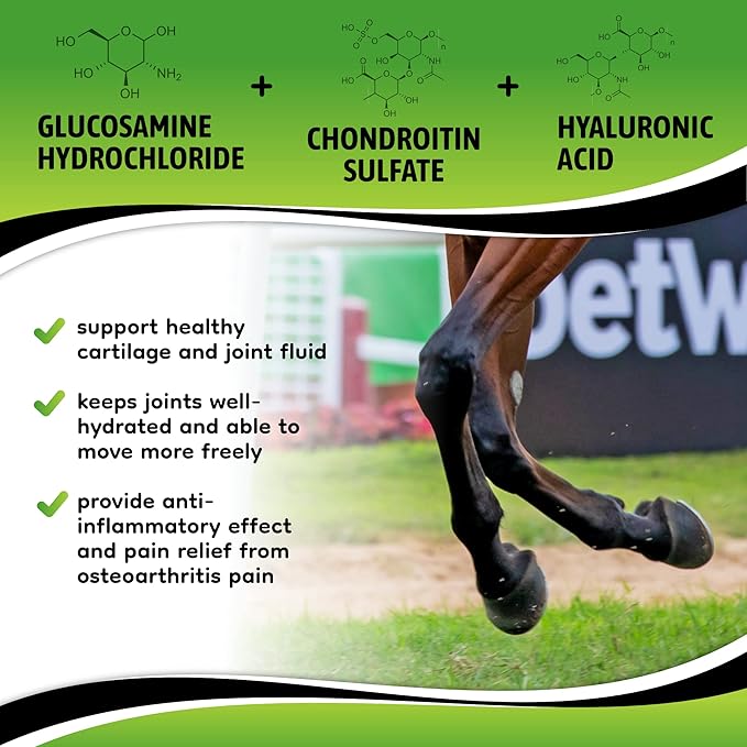 SynoStride All Natural, All-in-one, Joint and Hoof Health Supplement for Horses, Powder with Glucosamine, Chondroitin, Hyaluronic Acid, Biotin, Methionine, Trace Minerals, Made in USA (1080 Grams)