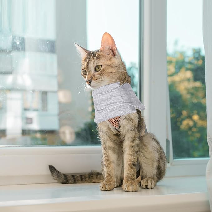 Cat Neck Brace, Adjustable Breathable Elizabethan Collar for Pet After Surgery Recovery Cat Neck Cervical Cone for Small Medium Dogs Puppies Kittens with Neck Circumference 8.2-10.2 Inch (Grey, S)