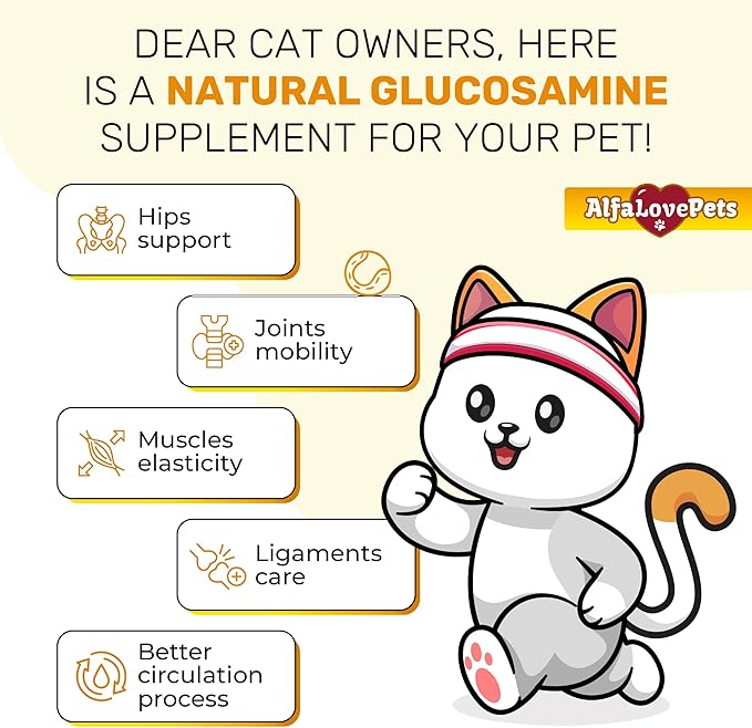 Cat Joint Supplement for All Breeds โ Glucosamine for Cats and Kittens โ Glucosamine, Chondroitin, MSM for Hip & Joint Care โ Natural Ingredients with Chicken Flavor โ 2 Oz