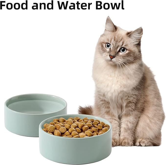 Ceramic Set of 2 Cat Bowls, Food and Water Bowls for Cats, Kitty, 2pcs Cat Dishes, Pet Feeder(5.1inch, 2 x Light Green Bowls)
