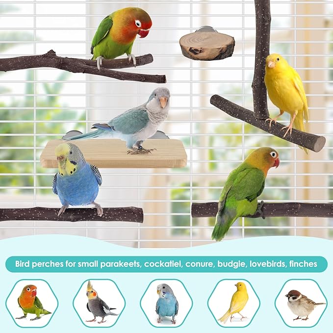 Bird Perches, 6 Pcs Natural Wood Parrot Perch Stand Chew Toys, Hanging Multi-Branch Parrot Perch Platform Swing Toy Cage Accessories for Small Parakeets, Budgies, Lovebirds, Canaries, Finches