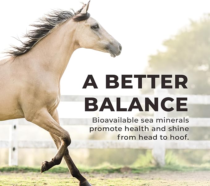 Daily RED Crushed Garlic - Mineral Supplement for Horses (25 LB Garlic)