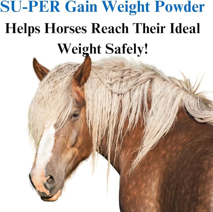 SU-PER Gain Weight for Horses - Equine Supplement Weight Gainer for Horses - Promotes Lean Muscle Mass, Digestion & Appetite - 10 Pound, 1 Month Supply