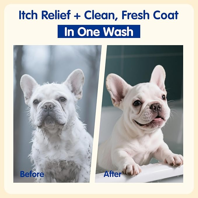 Unipaws Probiotic Dog Shampoo for Short-Haired Coats β Itch Relief, Deodorizing & Hydrating for Healthy, Fresh Skin with Calendula & Oatmeal β EWG Green & White Tea Scent, Made in Korea, 16.9 Fl Oz