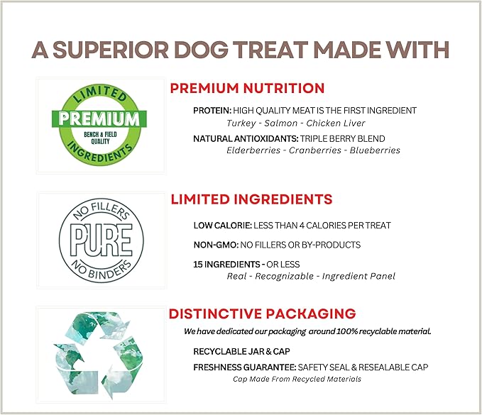 Bench & Field Holistic Natural Salmon & Triple Berry Dog Treats | Crunchy Bone-Shaped Bites | Antioxidant Blend, 10-Ounce Bottle