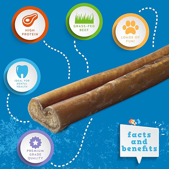 Jack&Pup 6" Bully Sticks for Dogs | Jumbo Odor Free Pizzle Sticks for Large Dogs | Single Ingredient, 100% Beef (Jumbo, 24 Pack)
