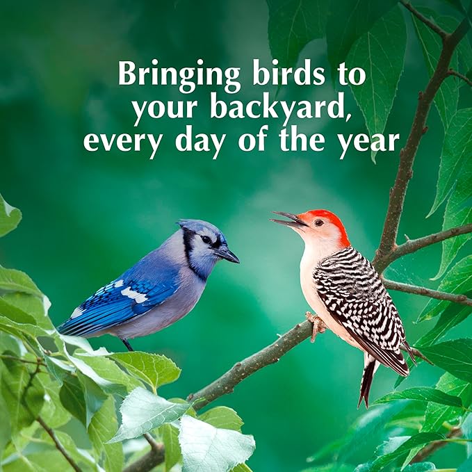 C&S Peanut Butter Delight No Melt Suet Dough, Suet Cakes for Wild Birds, 11.75 Ounces, Pack of 8