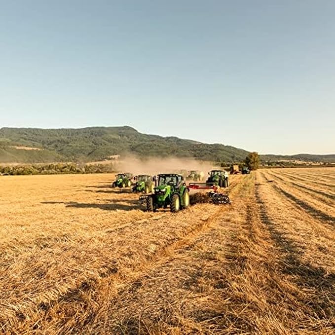 Blue Mountain Hay | Fresh 2nd Cutting Timothy Grass Hay (10 Pounds) | Soft & Leafy, Balanced Nutrition | High-Altitude Hay Pet Food for Adult Rabbits, Guinea Pigs, Chinchillas, and Other Small Pets