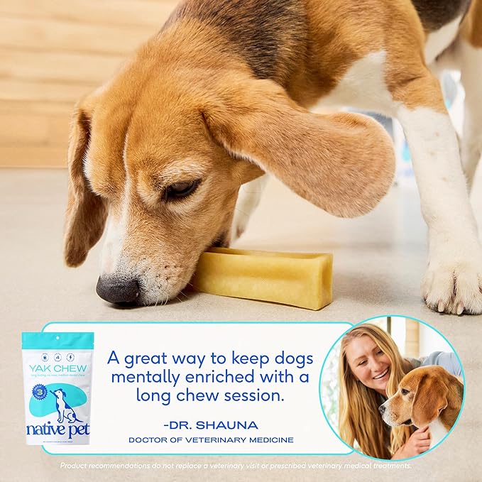 Native Pet Yak Cheese Himalayan Dog Chews - Long Lasting Dental Sticks for Large Breeds – 100% All Natural Himalayan Yak Chews for Large Dogs – Cheese Bone for Aggressive Chewers - 3 Per Pack