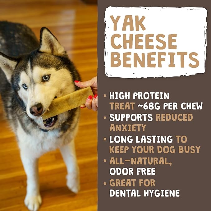 Mighty Paw Yak Cheese Dog Chews - All-Natural Treats for Dogs, High Protein Treat with 68 Grams of Protein Per Chew, Delicious and Long Lasting, Odor Free with Limited Ingredients, Monster, 12 Pack