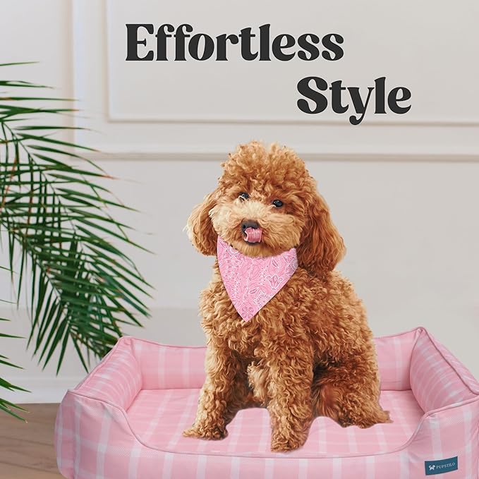 Orthopedic Bolster Dog Bed β CertiPUR-US Foam, Recycled Polyester Canvas, Washable Cover, Anti-Slip Bottom, Small, Light Blue Check β Stylish Designer Dog Sofa