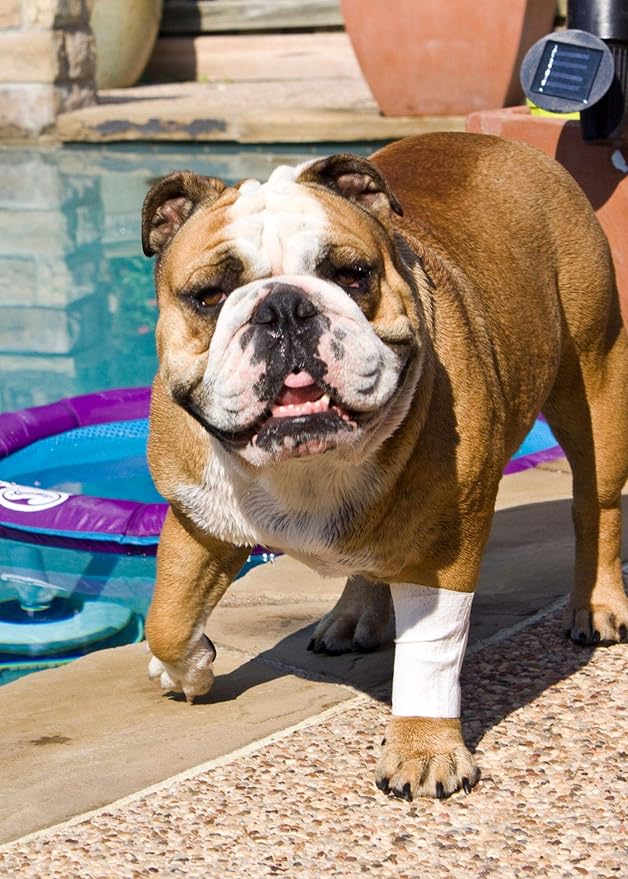 Protective Sleeve Tubular Cover - Bandages - for Dogs Cats and Other Pets First Aid Wound Care Comfortable Non-Adhesive Breathable & Water Resistant 12 Strips (yields 24-36 Covers)-(X-Large)