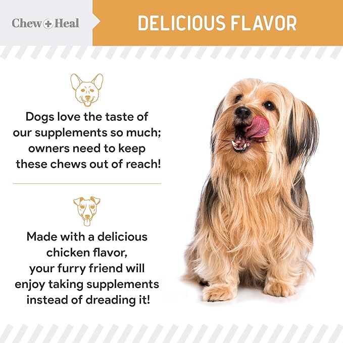 Omega 3 Fish Oil for Dogs -360 Soft Chew Omega Treats for Skin and Coat -Salmon Oil Blend of Essential Fatty Acids, Vitamins, Antioxidants, Minerals -Made in USA (2 Packs of 180, Chicken Flavor)