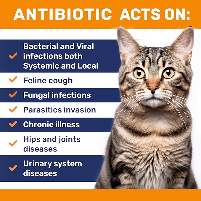 Cat Antibiotic to Help with Cough & Allergies โ Antibiotics for Cats to Aid with UTIs and Digestive Moments โ HIPS & Joints Support โ Attractive Chicken Taste โ 2 Oz Bottle