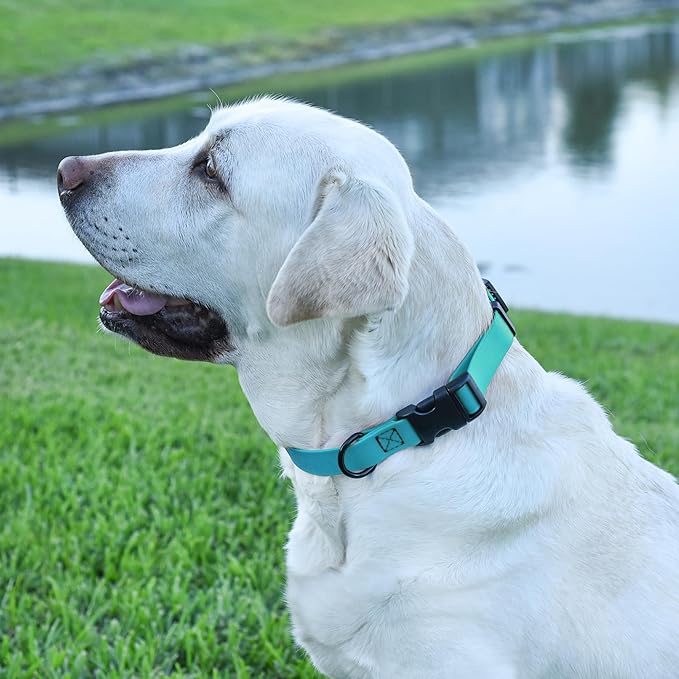 Dogline Biothane Waterproof Dog Collar with Quick Release Buckle Strong Coated Nylon Webbing with Odor- Proof for Easy Care Easy to Clean Fits Small Medium Large Dogs, Cyan Blue 5/8" W 9-14" L
